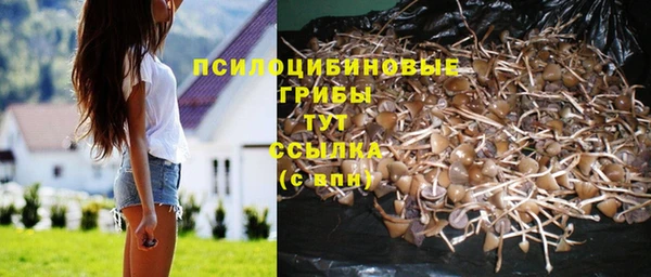 гашик Баксан