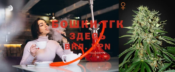 гашик Баксан