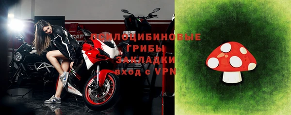 молекула духа Козловка