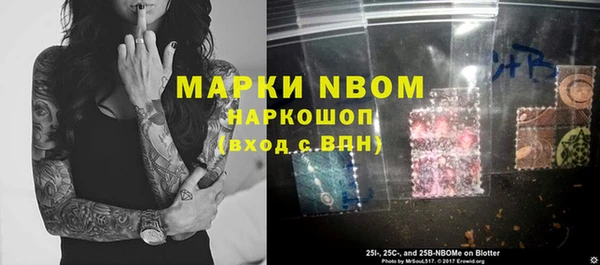 стаф Аркадак