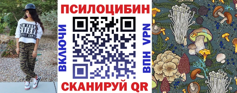 купить наркотики цена  Лесозаводск  kraken маркетплейс  Псилоцибиновые грибы мицелий 